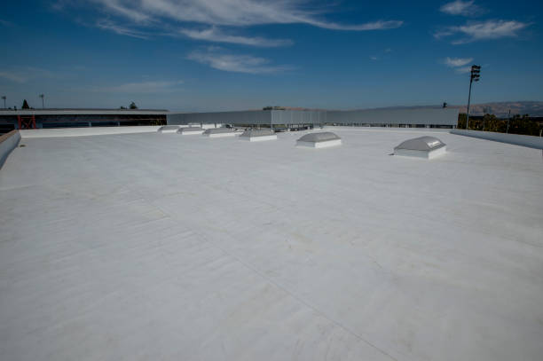Professional Roofing Services in Rising Sun Lebanon, DE